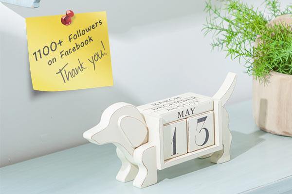 Thank You So Much For Your Support! - Nikky Home