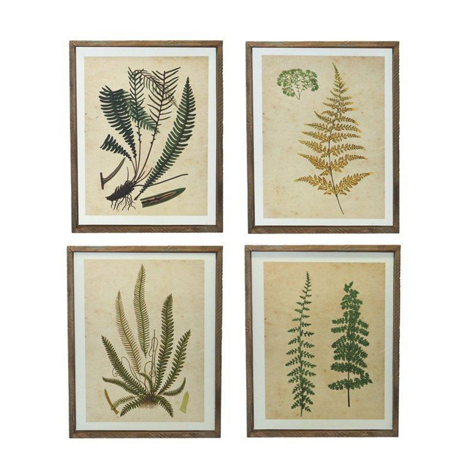 Vintage Wood Framed Botanical Wall Art Prints Set Of 4 - Nikky Home